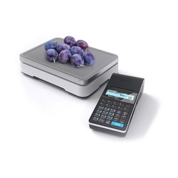 Kasa fiskalna POSNET Ergo Online