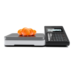 Kasa fiskalna POSNET Revo Online